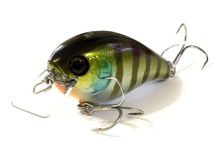 Воблер Jackall Aska 60SR Blue Gill купить,NaN
