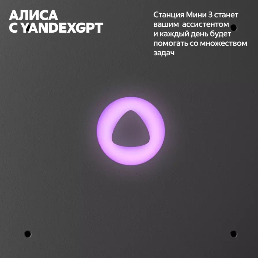 Умная колонка Яндекс Станция Мини 3 YNDX-00027GRY Серый купить,49990