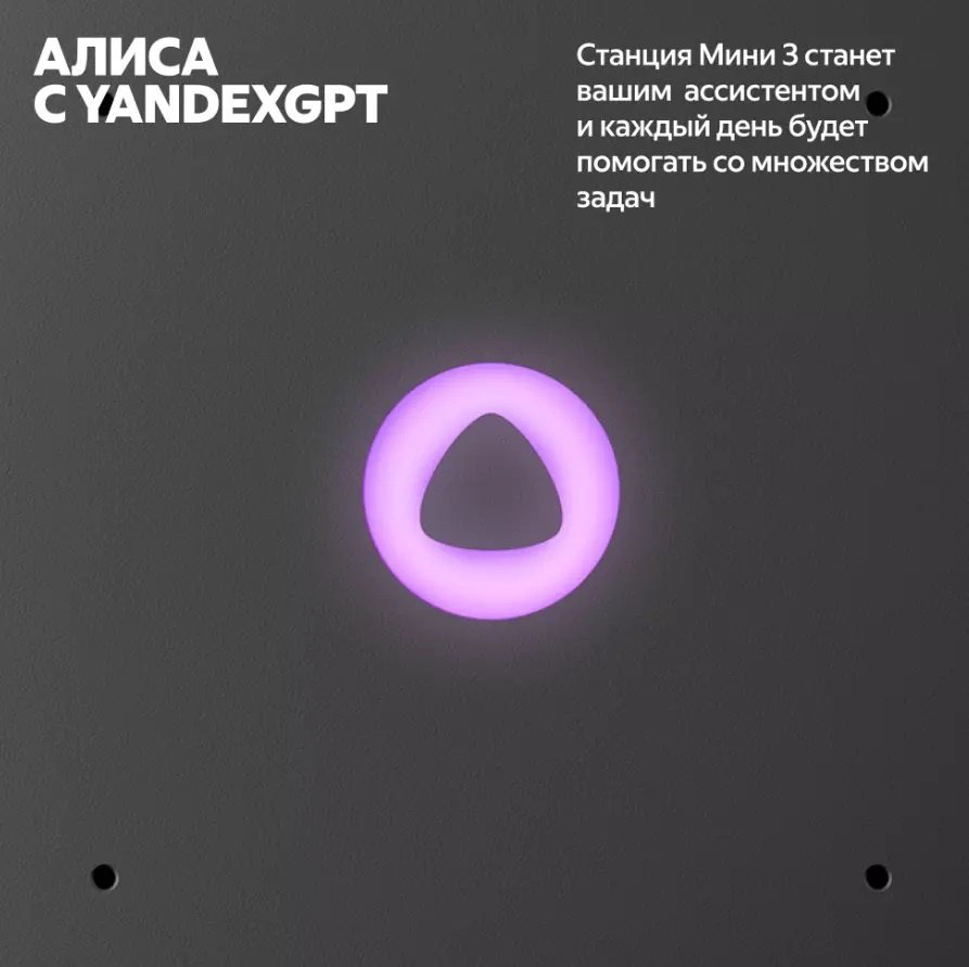 Умная колонка Яндекс Станция Мини 3 YNDX-00027GRY Серый купить,49990