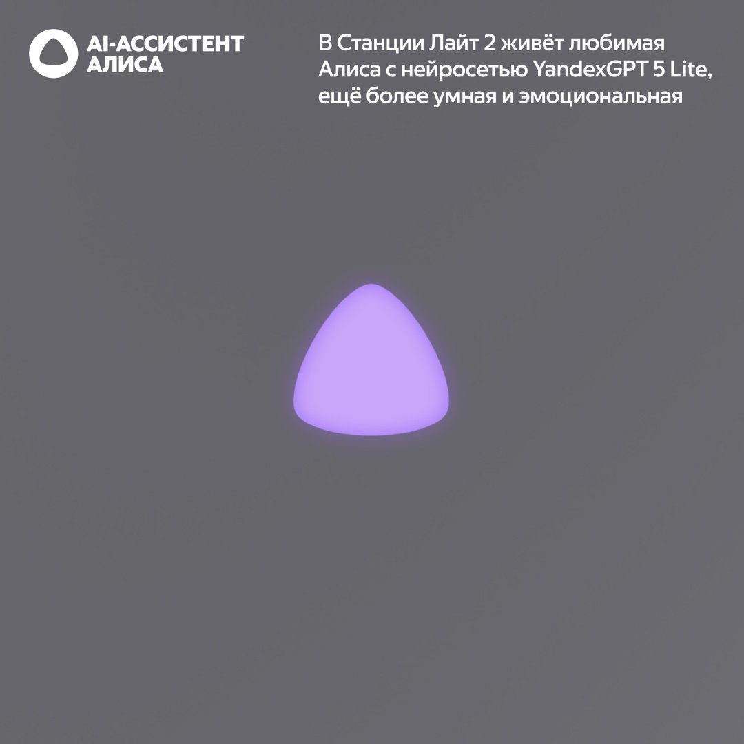Умная колонка Яндекс Станция Лайт 2 без часов YNDX-00028GRY серый