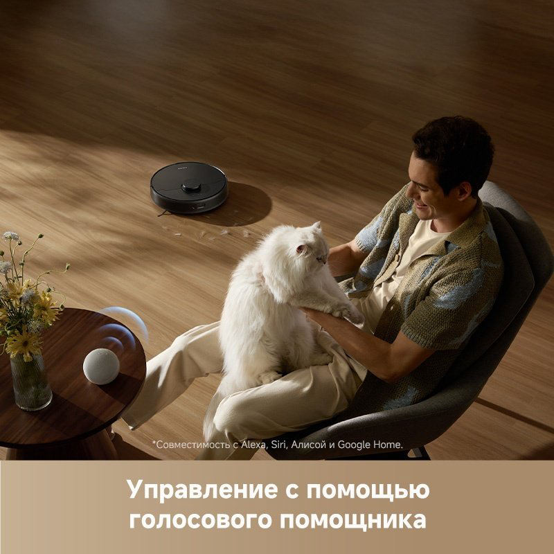 Робот-пылесос DREAME F10 RLF11SA черный купить,NaN