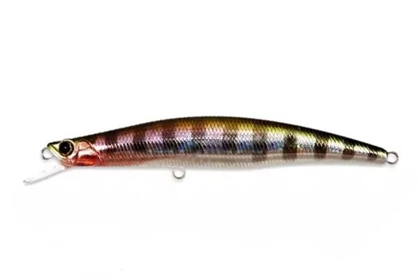Воблер Anglers Republic Fleshback100F AR-FB100F-SCD-69  100мм  купить,NaN