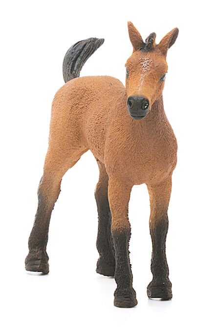 Фигурка Schleich Жеребенок скакун 13854 купить,NaN