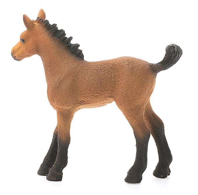 Фигурка Schleich Жеребенок скакун 13854 купить,NaN