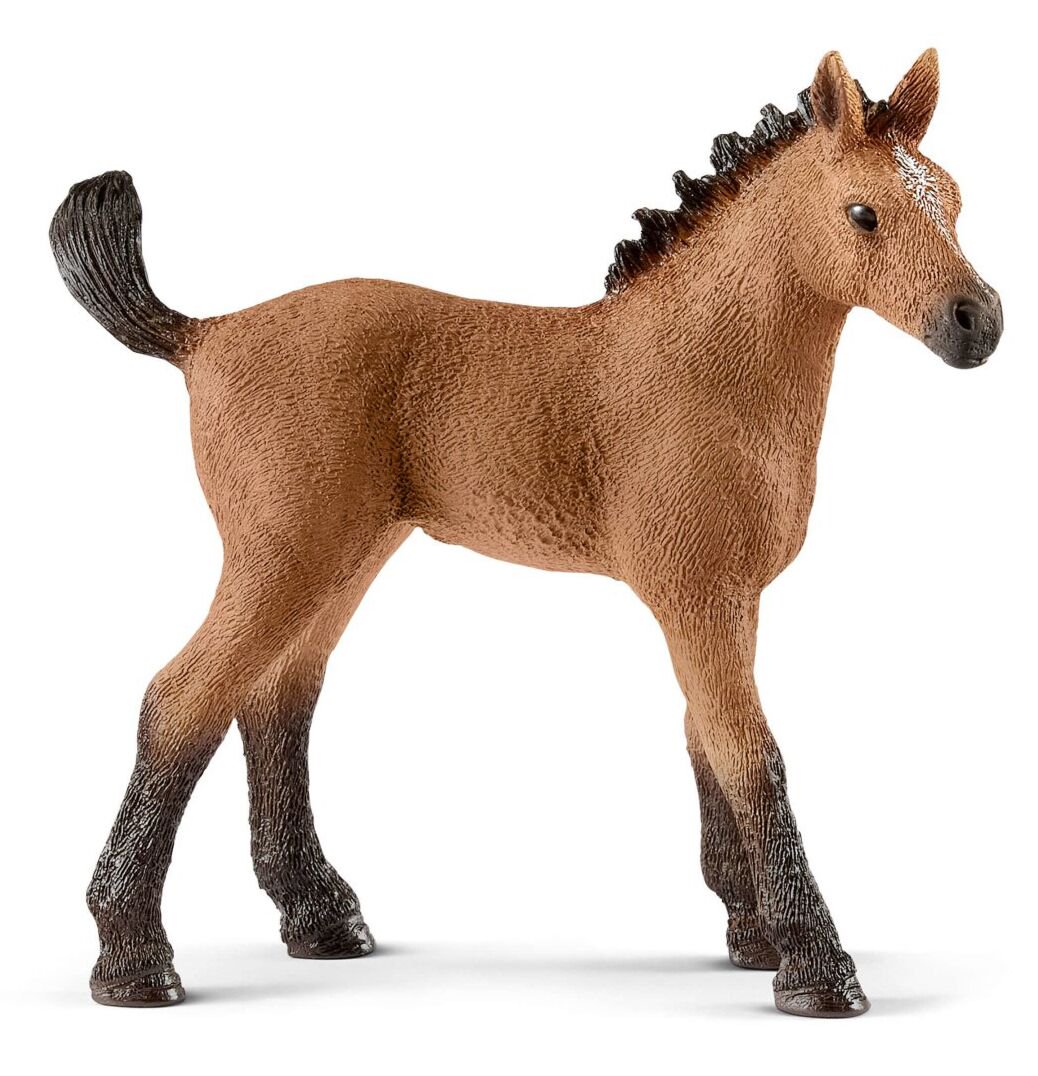 Фигурка Schleich Жеребенок скакун 13854 купить,NaN