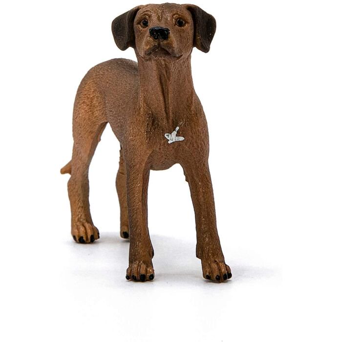 Фигурка Schleich Родезийский риджбек 13895 купить,NaN