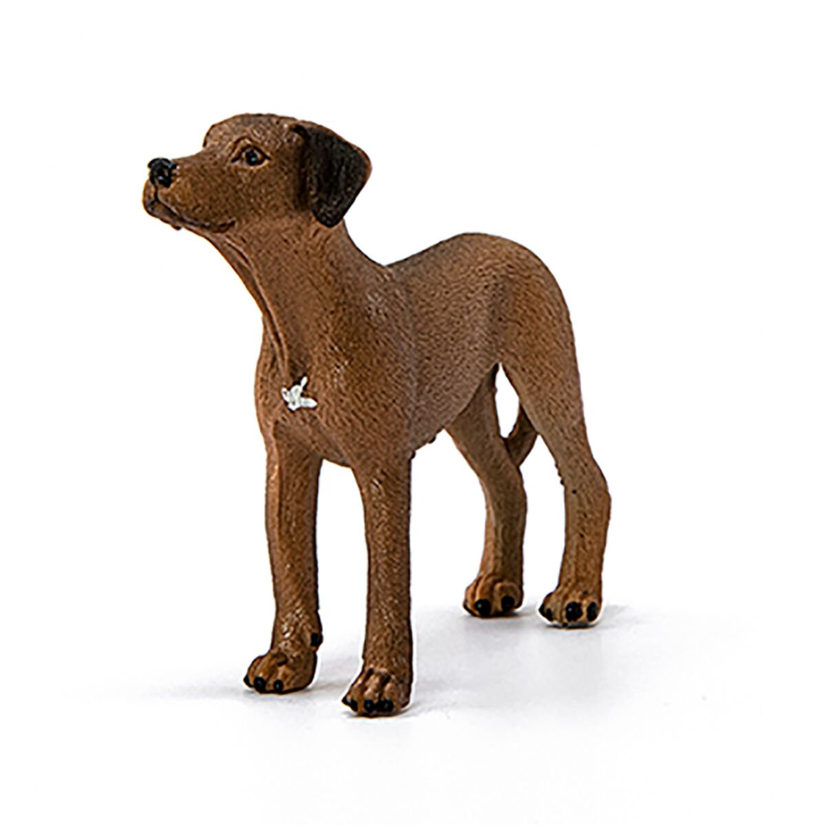 Фигурка Schleich Родезийский риджбек 13895 купить,NaN