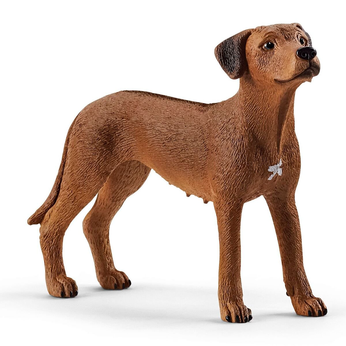 Фигурка Schleich Родезийский риджбек 13895 купить,NaN