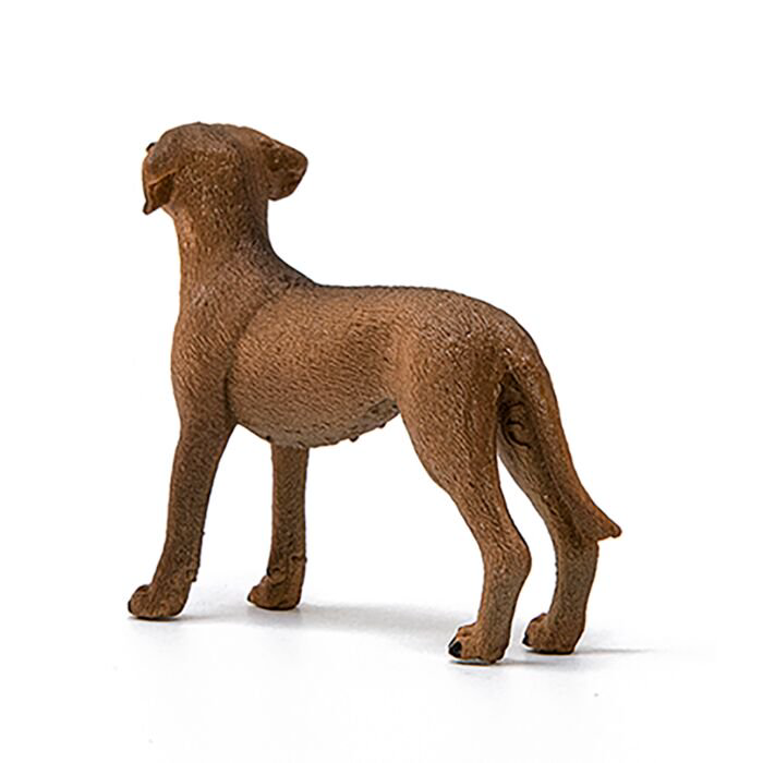Фигурка Schleich Родезийский риджбек 13895 купить,NaN