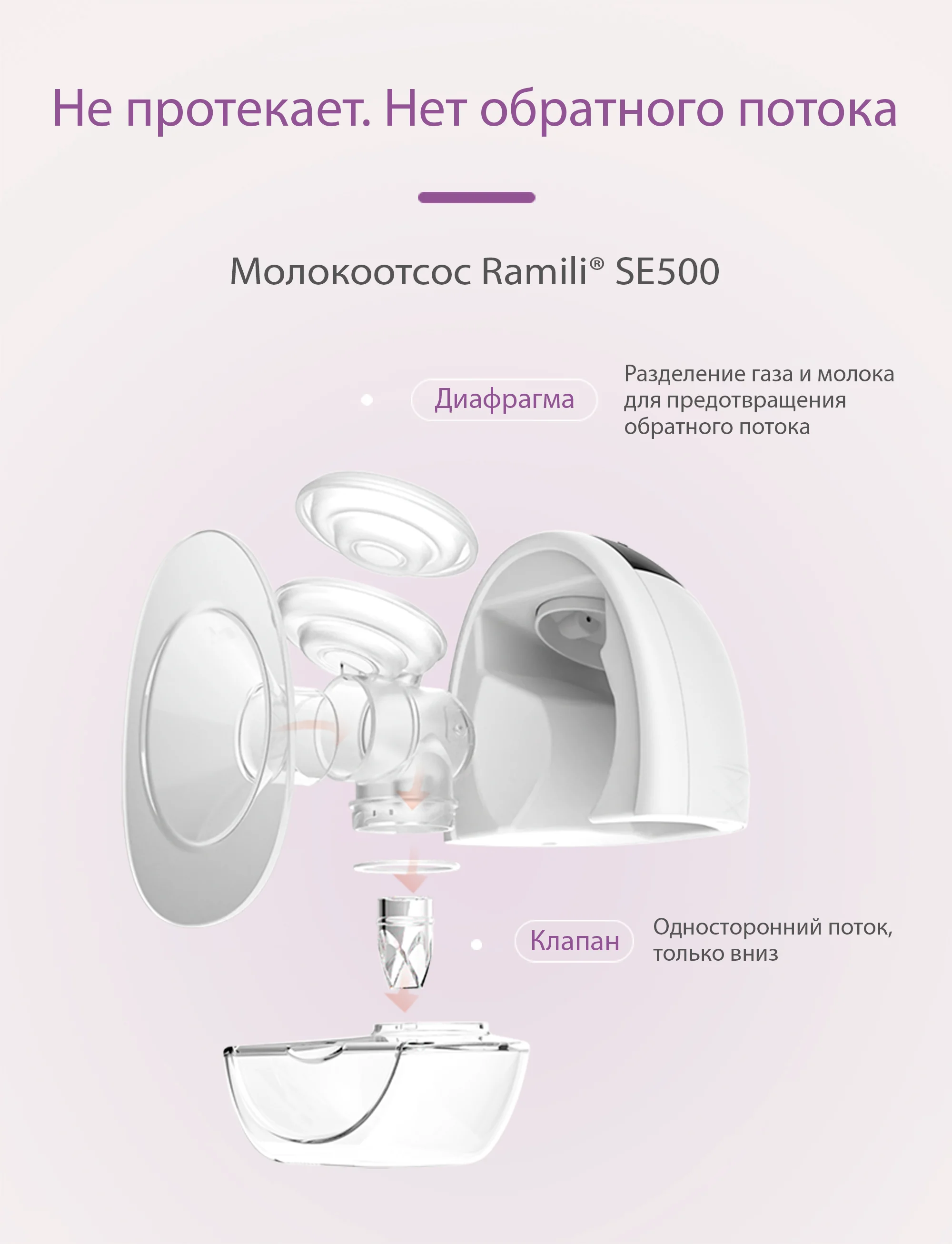 Молокоотсос Ramili SE500 с бутылочкой 240 мл белый - ForteMarket Молокоотсос Ramili SE500 с бутылочкой 240 мл белый купить,0