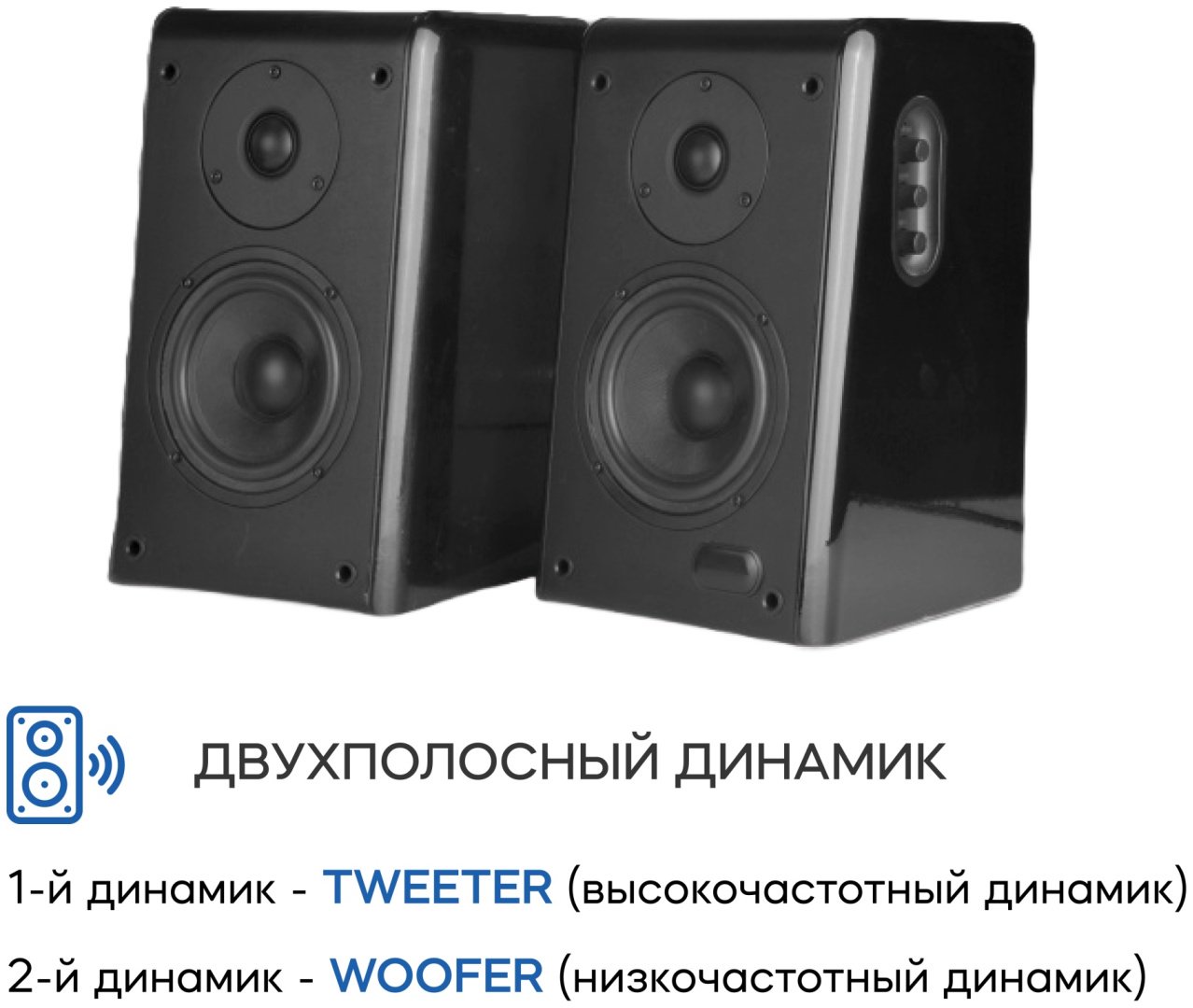 Компьютерные колонки Microlab SOLO 11 черный - ForteMarket Компьютерные колонки Microlab SOLO 11 черный купить,89990
