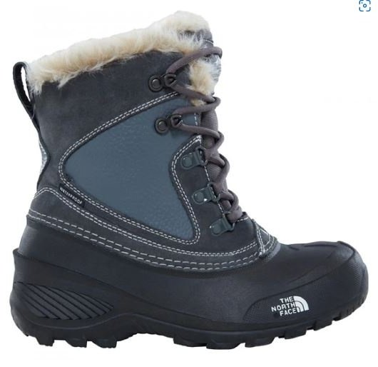 The North Face T92T5V_new_102 голубой купить,NaN