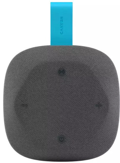Портативная колонка Canyon HEXAGON 10 серый купить,NaN