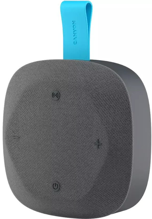 Портативная колонка Canyon HEXAGON 10 серый купить,NaN