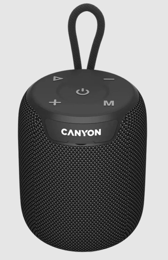 Портативная колонка Canyon OnMove 9 TWS CNE-CBTSP9 черный купить,NaN