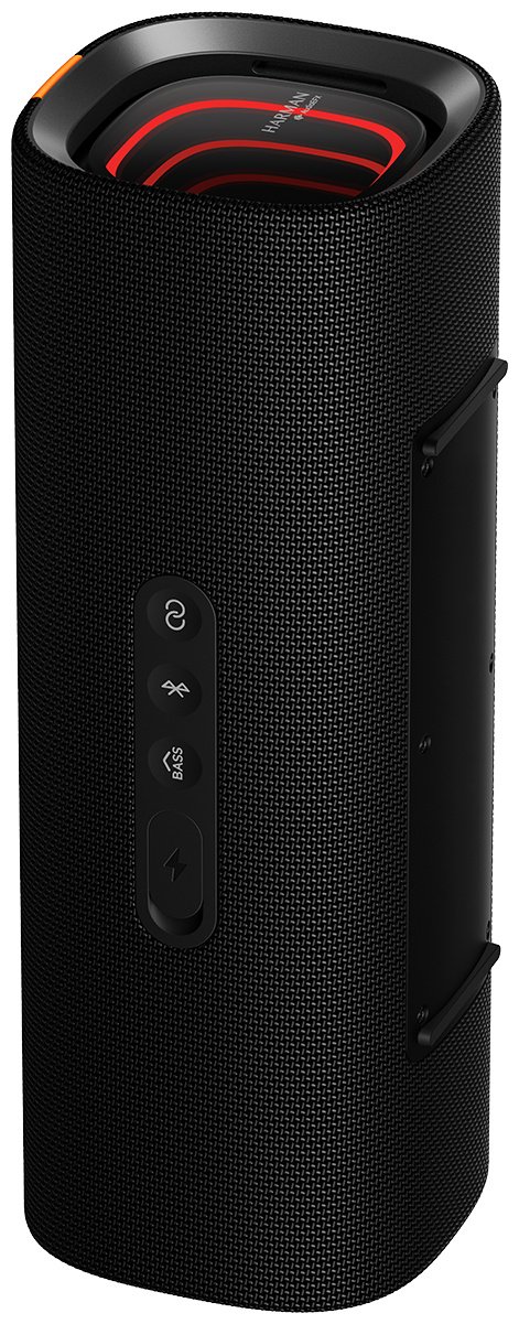 Портативная колонка Xiaomi Sound Party NS7-GL черный