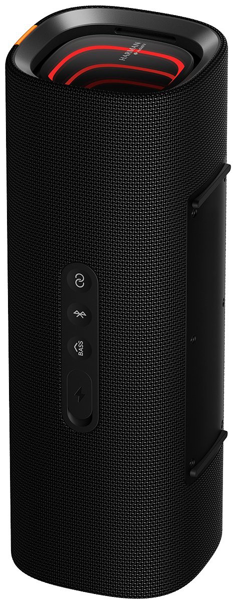 Портативная колонка Xiaomi Sound Party NS7-GL черный купить,49990