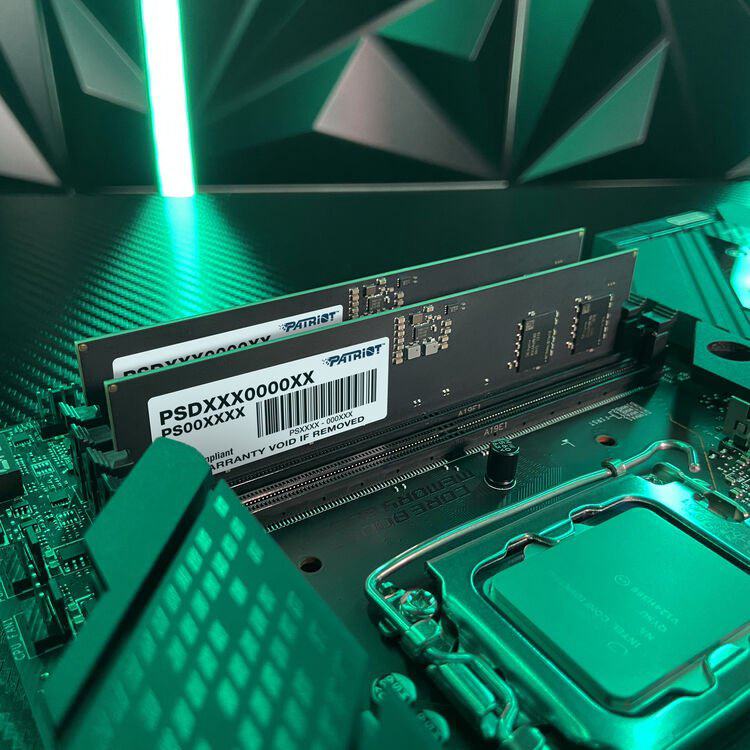 Оперативная память Patriot Signature PSD516G5600K 16 Гб купить,NaN