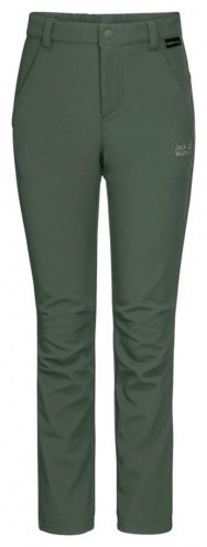 Утепленные брюки Jack Wolfskin зеленый купить,NaN