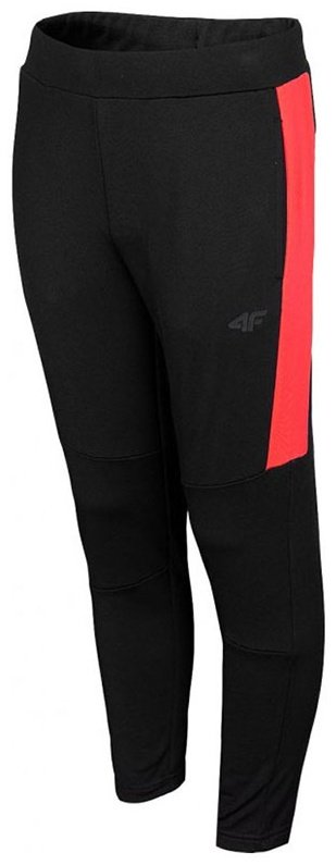 Спортивные брюки 4F черный