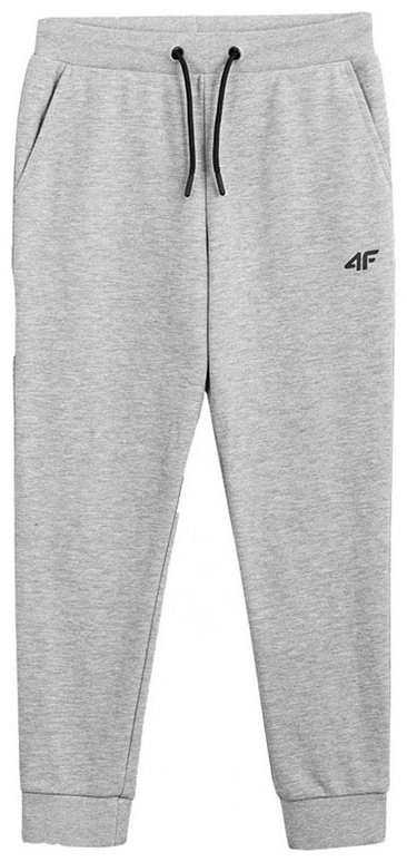 Спортивные брюки 4F серый купить,NaN
