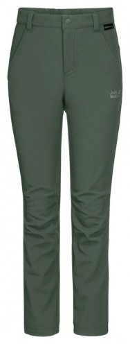 Утепленные брюки Jack Wolfskin зеленый купить,NaN