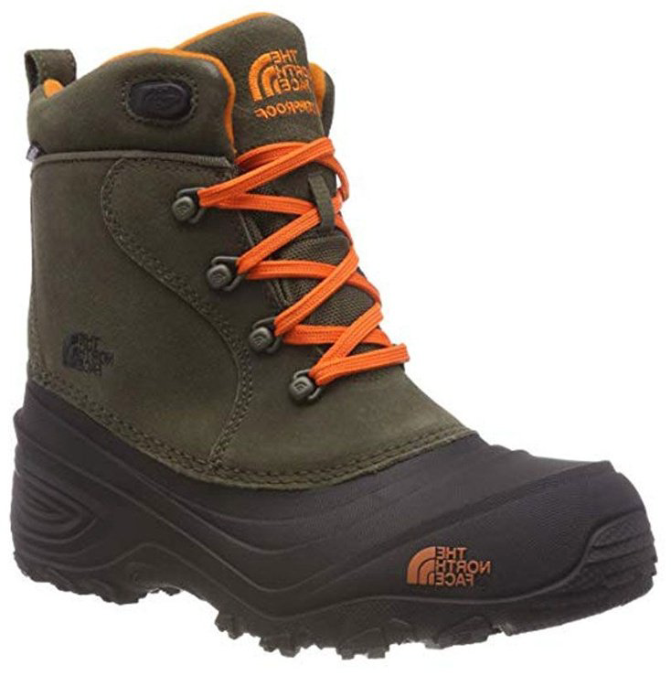 The North Face T92T5R зеленый купить,NaN