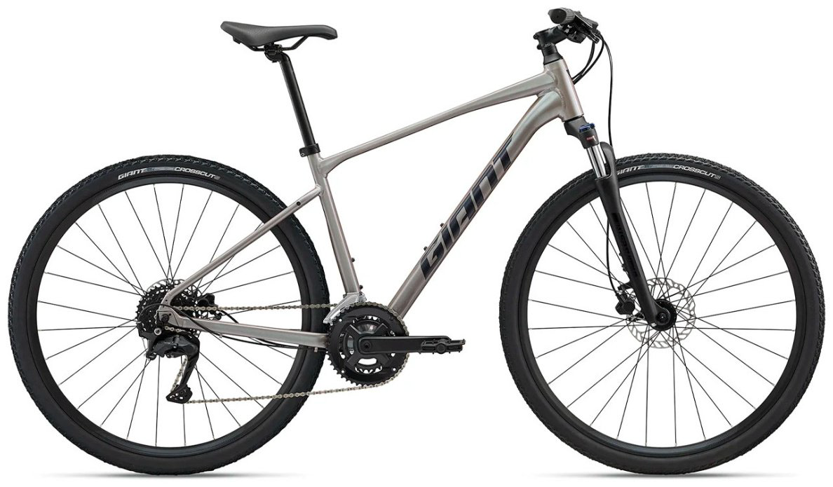 Велосипед Giant Roam 3 - 2025/10820112/XL 2025 23 дюйма бежевый купить,NaN