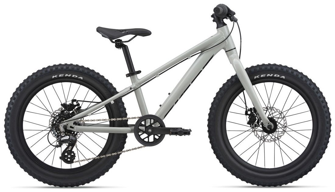 Велосипед Giant STP 20 22040231 2022 one size серый купить,NaN