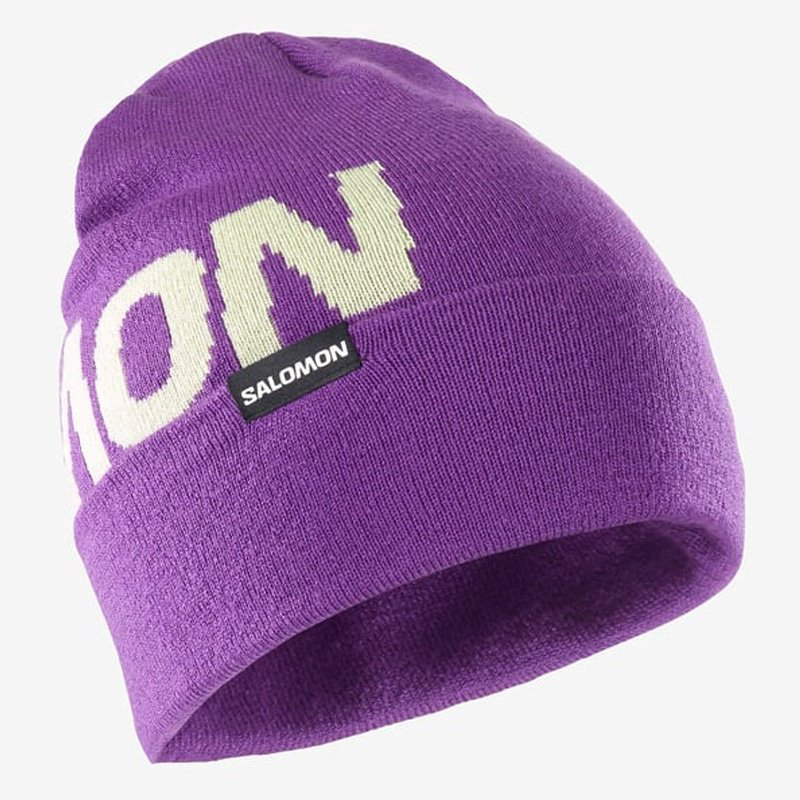 Шапка Salomon размер универсальный, фиолетовый купить,NaN