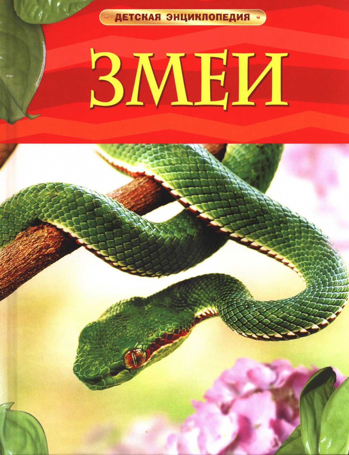 Энциклопедия Змеи купить,NaN