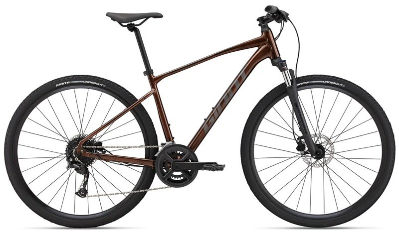 Велосипед Giant Roam 2 Disc 2022 18 дюймов коричневый купить,NaN