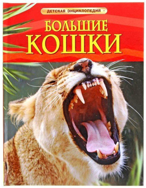 Энциклопедия Большие кошки купить,NaN