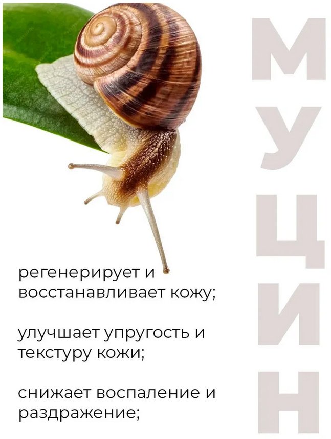 Deoproce крем Snail Recovery Cream для лица 100 г купить,NaN