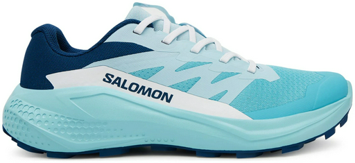 Треккинговые кроссовки Salomon blue 39