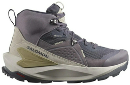 Ботинки Salomon фиолетовый