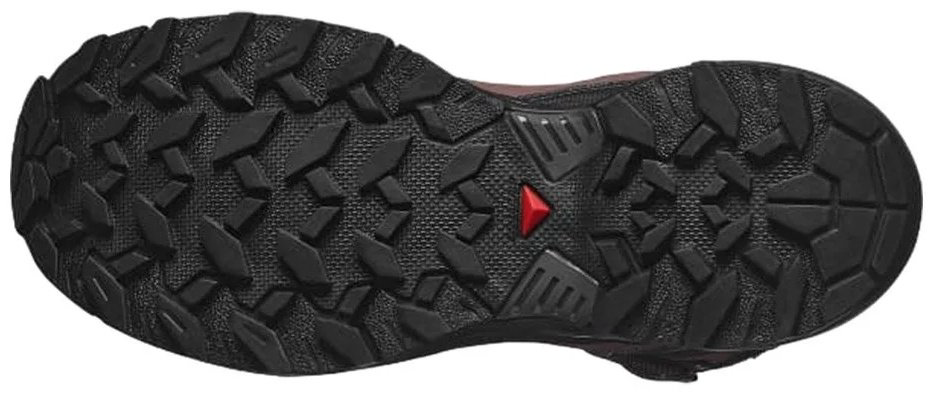 Ботинки Salomon бордовый - ForteMarket Ботинки Salomon бордовый купить,99900