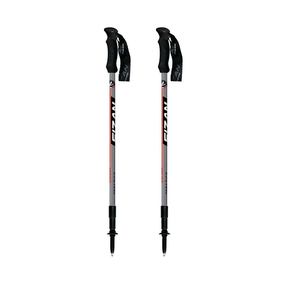 Трости Fizan F56 Prestige S20-21 7501 серые купить,NaN