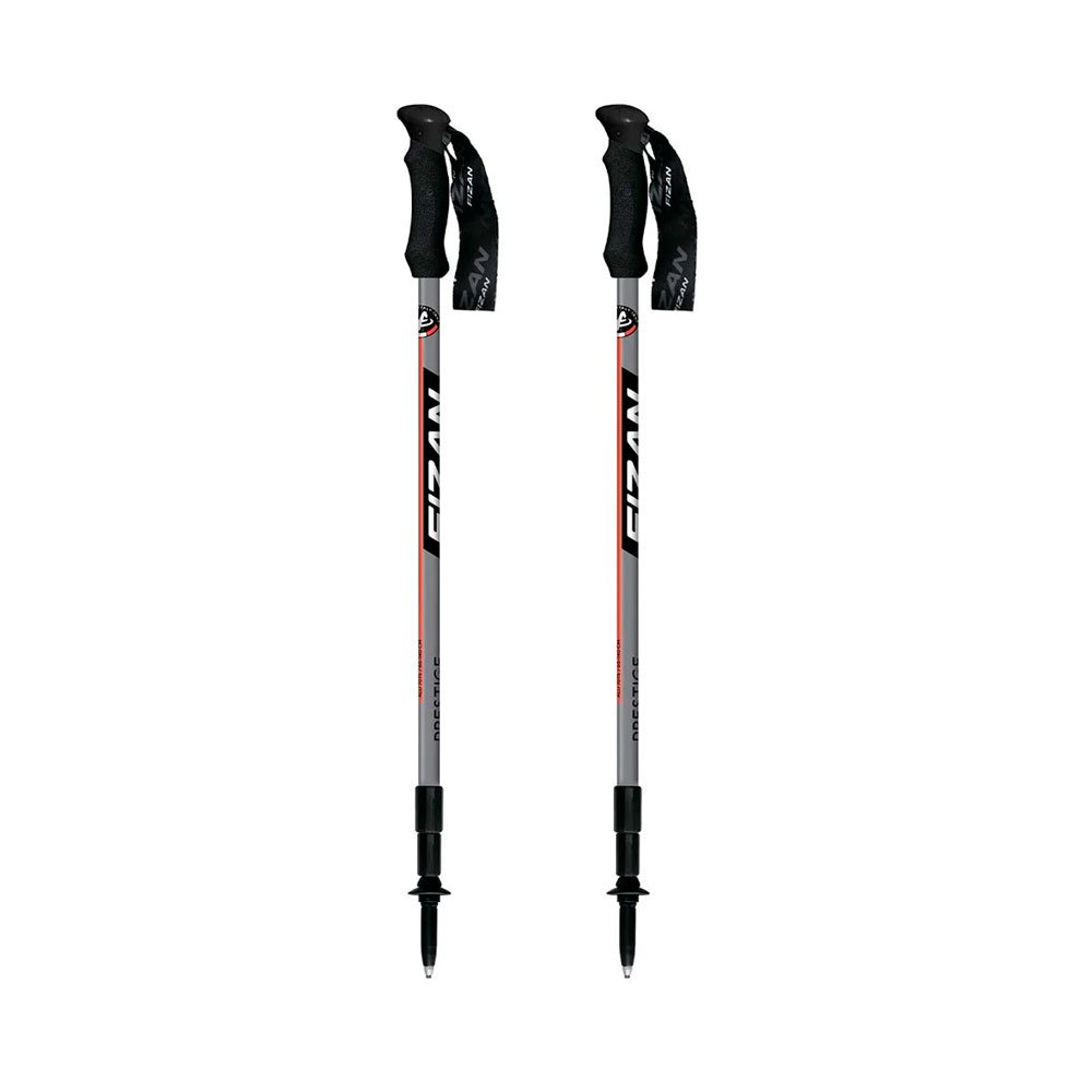 Трости Fizan F56 Prestige S20-21 7501 серые купить,NaN