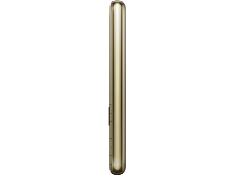 Мобильный телефон Nokia 8000 4G Gold