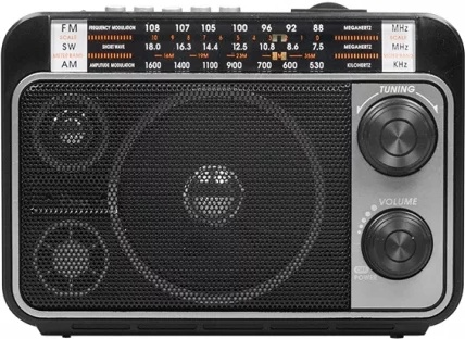 Радиоприемник Ritmix RPR-171 черный купить,NaN