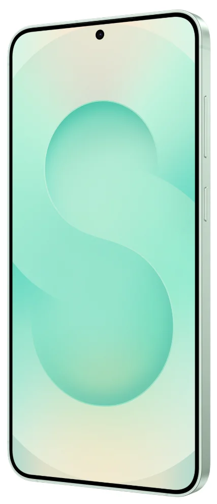 Смартфон Samsung Galaxy S25+ 5G 12/512GB SM-S936BLGCSKZ Mint купить,NaN