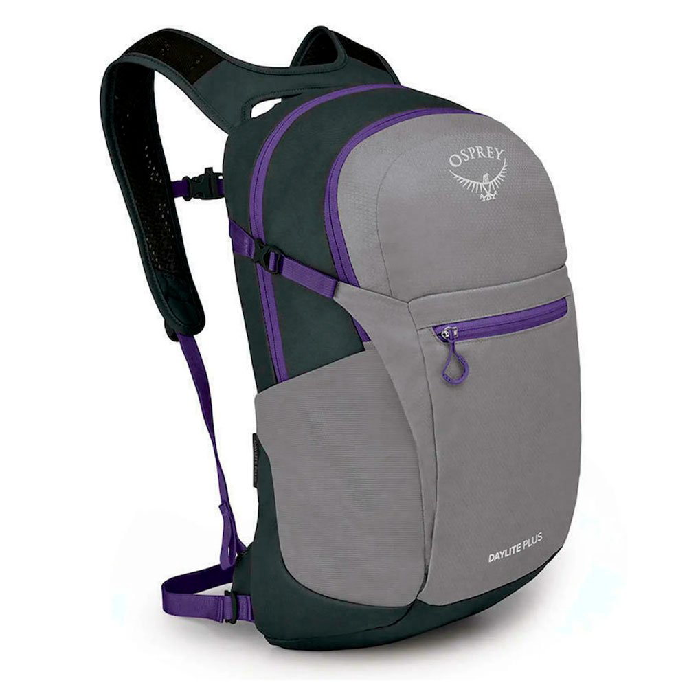 Рюкзак Osprey Daylite Plus Medium 10004190 серый купить,NaN