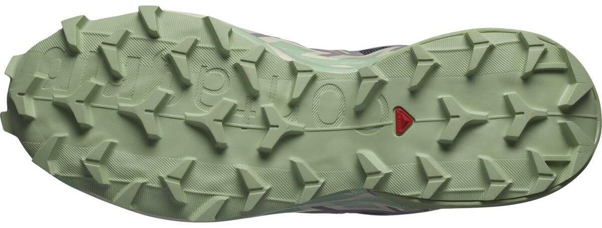 Кроссовки Salomon Speedcross 6 L47582000 мультиколор