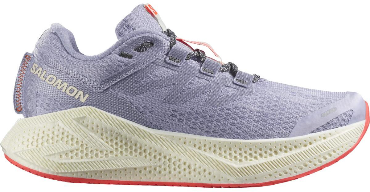 Кроссовки Salomon Aero glide 3 фиолетовый купить,89900
