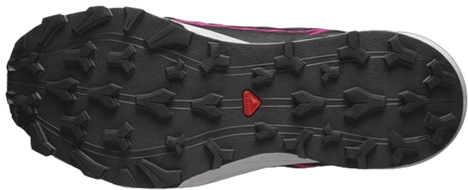 Salomon L47383500 черный купить,NaN