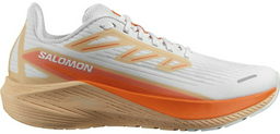 Кроссовки Salomon белый