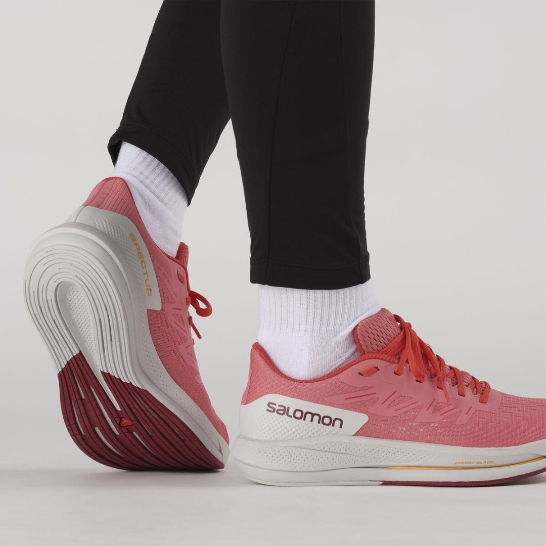 Кроссовки Salomon SPECTUR W коралловый купить,NaN