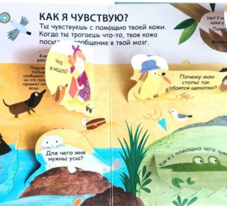 Энциклопедии 40 окошек Как я вижу  слышу и чувствую купить,NaN