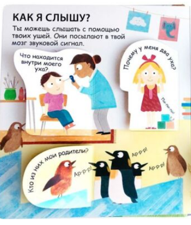 Энциклопедии 40 окошек Как я вижу  слышу и чувствую купить,NaN